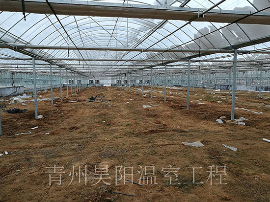 鄒城御康生態(tài)糧倉基地
